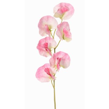 Fiore artificiale Lathyrus WAHNY, rosa-bianco-verde, 45cm, Ø5,5cm Fiore artificiale Lathyrus WAHNY, rosa-bianco-verde, 45cm, Ø5,5cm