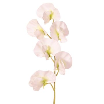 Fiore artificiale Lathyrus WAHNY, bianco-verde, 35 cm, Ø 5 cm