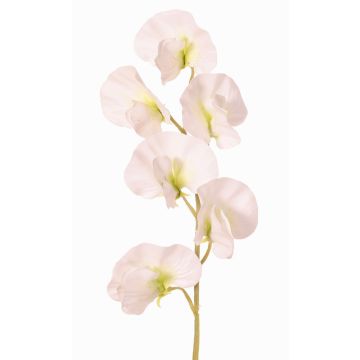 Fiore artificiale Lathyrus WAHNY, bianco-verde, 45cm, Ø5,5cm Fiore artificiale Lathyrus WAHNY, bianco-verde, 45cm, Ø5,5cm