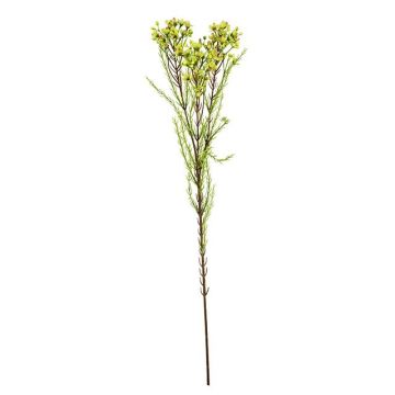 Ramo artificiale di fiore di cera MEDEA, verde-rosa, 80 cm, Ø 6 cm Ramo artificiale di fiore di cera MEDEA, verde-rosa, 80 cm, Ø 6 cm