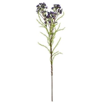 Ramo artificiale di fiore di cera MEDEA, viola scuro, 80 cm, Ø 6 cm Ramo artificiale di fiore di cera MEDEA, viola scuro, 80 cm, Ø 6 cm