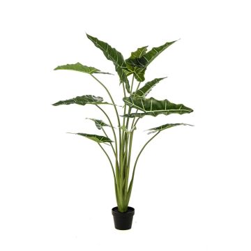 Pianta artificiale Alocasia Sanderiana MUNAY in vaso decorativo, verde, 140 cm