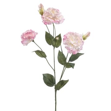 Fiore artificiale Lisianthus RENARA, rosa-crema, 75 cm Fiore artificiale Lisianthus RENARA, rosa-crema, 75 cm