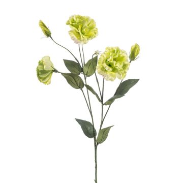 Fiore artificiale Lisianthus RENARA, verde chiaro, 75 cm Fiore artificiale Lisianthus RENARA, verde chiaro, 75 cm