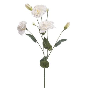 Fiore artificiale Lisianthus RENARA, bianco, 75 cm Fiore artificiale Lisianthus RENARA, bianco, 75 cm
