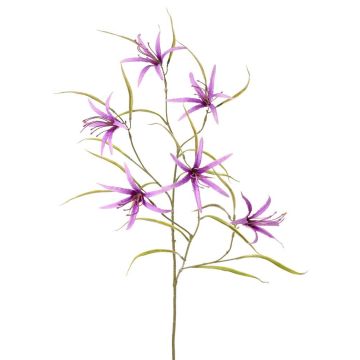 Ramo decorativo con fiori di lathyrus TYZANS, viola, 95 cm