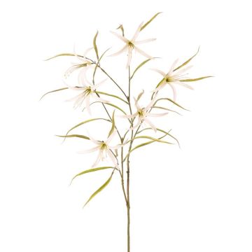 Ramo decorativo con fiori di lathyrus TYZANS, bianco-verde, 95 cm