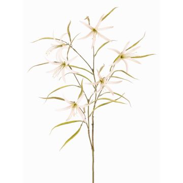 Ramo decorativo con fiori di lathyrus TYZANS, bianco-verde, 95cm