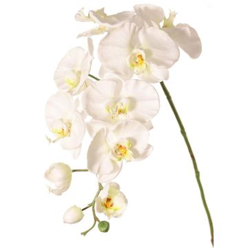 Ramo decorativo Orchidea Phalaenopsis WESA, bianco, 100 cm
