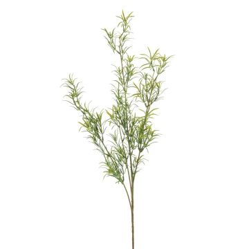 Ramo artificiale di Asparagus sprengeri SAMBENO, verde, 80cm Ramo artificiale di Asparagus sprengeri SAMBENO, verde, 80cm