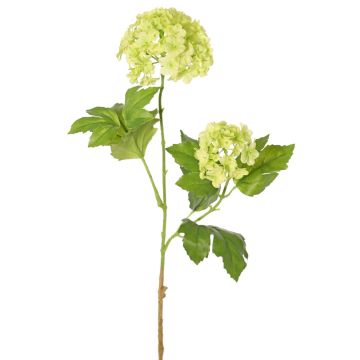 Ramo artificiale FINDALS, verde chiaro, 60 cm, Ø 6-9 cm