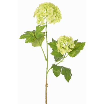 Ramo artificiale FINDALS, verde chiaro, 60cm, Ø6-9cm Ramo artificiale FINDALS, verde chiaro, 60cm, Ø6-9cm