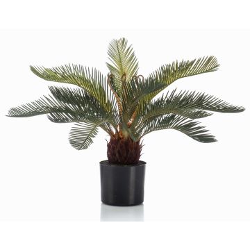 Palma cycas artificiale piccola NEREO, 55 cm Palma cycas artificiale piccola NEREO, 55 cm