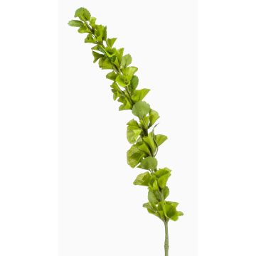 Grande fiore artificiale campanula irlandese SOTO, verde, 105 cm Grande fiore artificiale campanula irlandese SOTO, verde, 105 cm