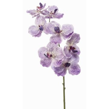 Ramo artificiale orchidea Vanda LODON, lilla chiaro-bianco, 75 cm