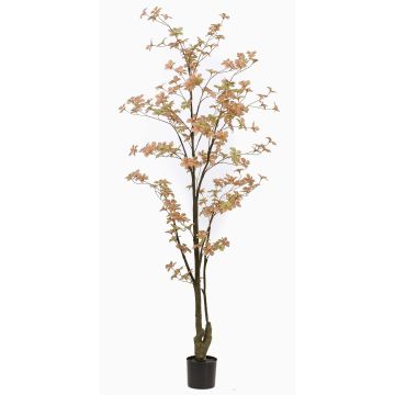 Albero artificiale Capucina SULLA, tronco artificiale, verde pesca, 185 cm Albero artificiale Capucina SULLA, tronco artificiale, verde pesca, 185 cm