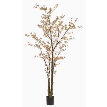 Albero artificiale Capucina SULLA, tronco artificiale, verde pesca, 245 cm Albero artificiale Capucina SULLA, tronco artificiale, verde pesca, 245 cm
