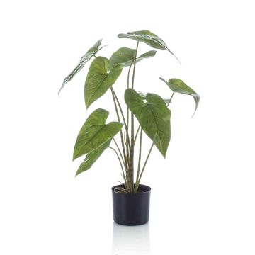 Pianta artificiale Alocasia Zebrina LEFKA con radici, verde, 75 cm