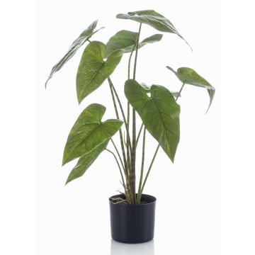 Pianta artificiale Alocasia Zebrina LEFKA con radici, verde, 75 cm