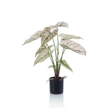 Pianta artificiale Caladium YAWAR con radici, verde-bianco, 60 cm