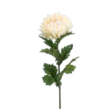 Fiore artificiale Crisantemo LAZO, crema-rosa, 75 cm