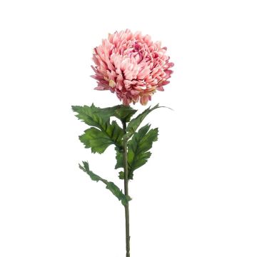 Fiore artificiale Crisantemo LAZO, rosa antico, 75 cm