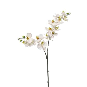 Ramo di orchidea artificiale Phalaenopsis WANTA, bianco, 100 cm