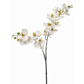 Ramo di orchidea artificiale Phalaenopsis WANTA, bianco, 100 cm