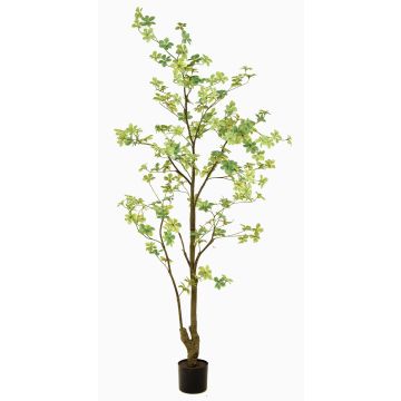 Albero artificiale nasturzio SULLA, tronco artificiale, verde, 185 cm Albero artificiale nasturzio SULLA, tronco artificiale, verde, 185 cm