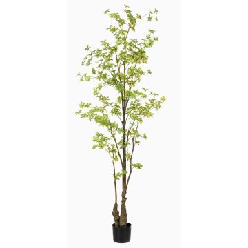 Albero artificiale nasturzio SULLA, tronco artificiale, verde, 210 cm Albero artificiale nasturzio SULLA, tronco artificiale, verde, 210 cm