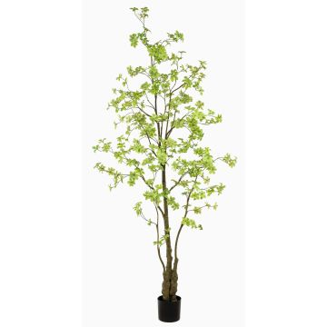 Albero artificiale di capucina SULLA, tronco artificiale, verde, 245cm