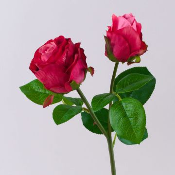 Fiore artificiale rosa RENATUS, rosa shocking, 45 cm, Ø6-8 cm Fiore artificiale rosa RENATUS, rosa shocking, 45 cm, Ø6-8 cm