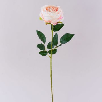 Fiore artificiale rosa CHERLEN, rosa delicato, 60 cm, Ø 10 cm Fiore artificiale rosa CHERLEN, rosa delicato, 60 cm, Ø 10 cm
