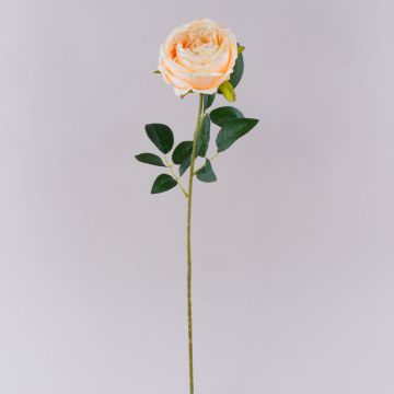 Fiore artificiale rosa CHERLEN, albicocca, 60 cm, Ø 10 cm