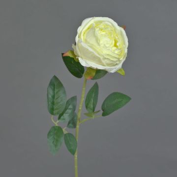 Fiore artificiale rosa CHERLEN, bianco, 60 cm, Ø 10 cm