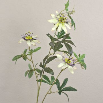 Fiore decorativo Passiflora JULANDA, bianco-viola, 100 cm, Ø 9-11 cm