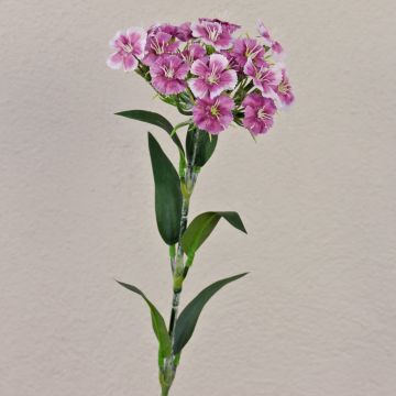 Fiore artificiale garofano SUSILAWA, viola-bianco, 55 cm