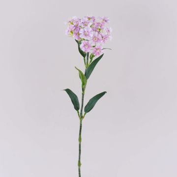 Fiore artificiale garofano SUSILAWA, rosa-viola, 55 cm
