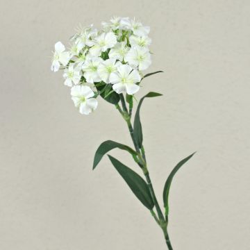 Fiore artificiale garofano SUSILAWA, bianco-crema, 55 cm