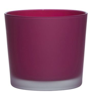 Vaso da piante in vetro ALENA FROST, magenta opaco, 12,5cm, Ø14,5cm