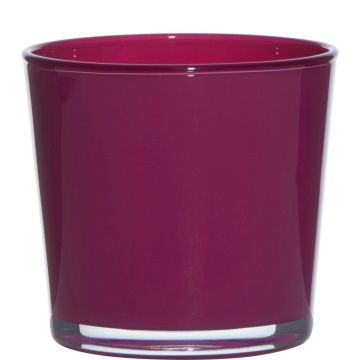 Vaso da piante in vetro ALENA, magenta, 11cm, Ø11,5cm