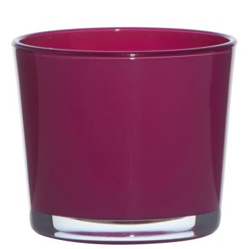 Vaso da piante in vetro ALENA, magenta, 12,5cm, Ø14,5cm Vaso da piante in vetro ALENA, magenta, 12,5cm, Ø14,5cm