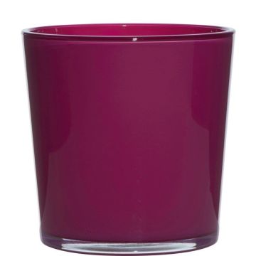 Vaso da piante in vetro ALENA, magenta, 19cm, Ø19cm