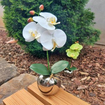 Fiore artificiale orchidea Phalaenopsis NAPIRAI, vaso, bianco, 30 cm