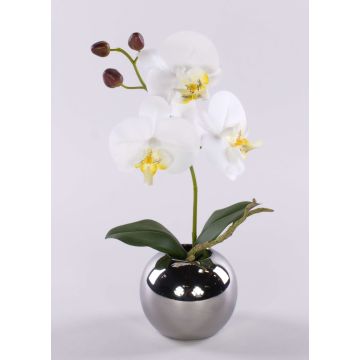 Fiore artificiale orchidea Phalaenopsis NAPIRAI, vaso, bianco, 30 cm Fiore artificiale orchidea Phalaenopsis NAPIRAI, vaso, bianco, 30 cm