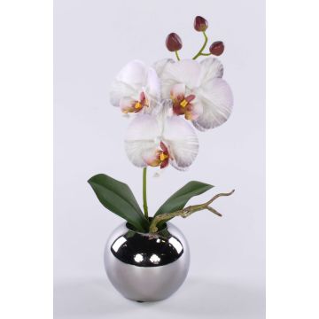 Fiore artificiale orchidea Phalaenopsis NAPIRAI, coprivaso, bianco-lilla, 30 cm Fiore artificiale orchidea Phalaenopsis NAPIRAI, coprivaso, bianco-lilla, 30 cm