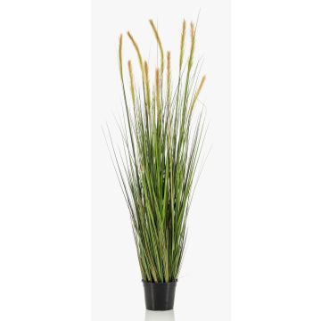 Erba coda di volpe finta ANAELLA con pannocchie, verde, 150cm Erba coda di volpe finta ANAELLA con pannocchie, verde, 150cm