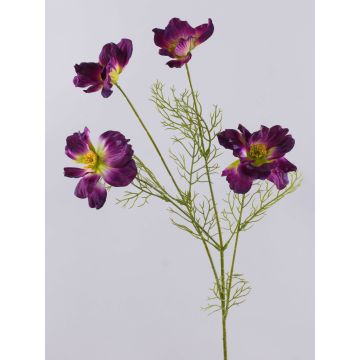 Ramo decorativo di fiori di cosmea PRESTIOSA, viola-verde, 75 cm Ramo decorativo di fiori di cosmea PRESTIOSA, viola-verde, 75 cm