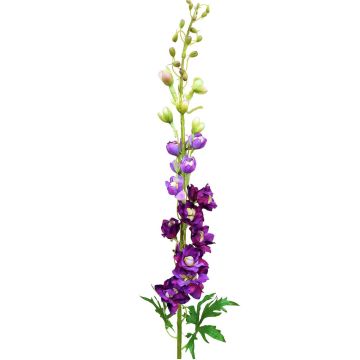 Fiore finto del finocchio selvatico RADUNIA, viola, 100 cm Fiore finto del finocchio selvatico RADUNIA, viola, 100 cm