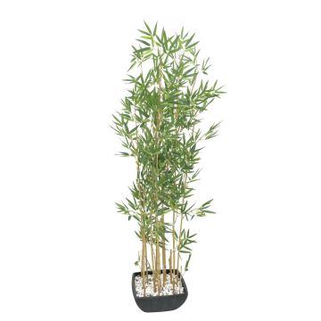 Bambù finto YUKIKO tronchi artificiali, vaso decorativo, verde 150cm Bambù finto YUKIKO tronchi artificiali, vaso decorativo, verde 150cm